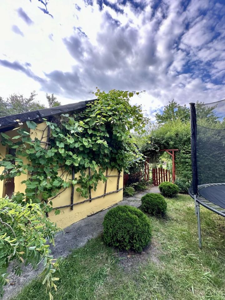 Działka rod Oleśnica Lucień. Zdjęcie 3