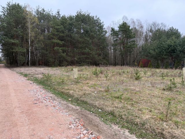 Działka budowlana Zofiówka. Zdjęcie 1