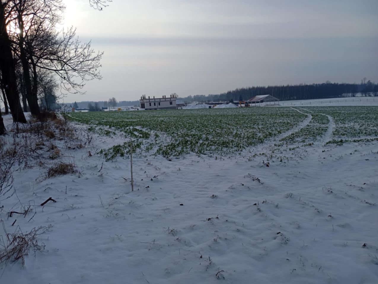 Działka rolno-budowlana Żalno, ul. Dworcowa. Zdjęcie 9