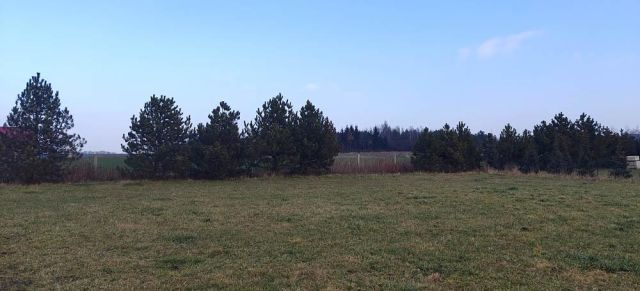 Działka siedliskowa Bogdaszowice, ul. Wiśniowa. Zdjęcie 3