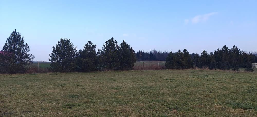 Działka siedliskowa Bogdaszowice, ul. Wiśniowa. Zdjęcie 3