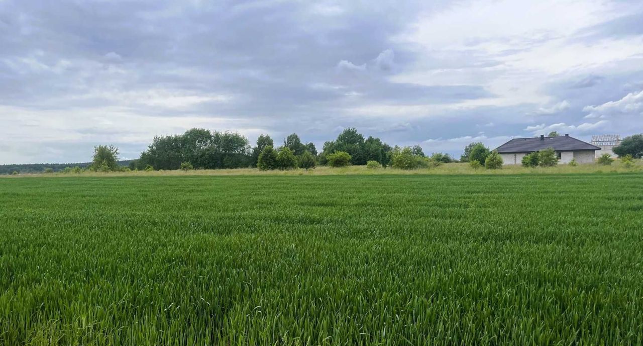 Działka budowlana Suków. Zdjęcie 2