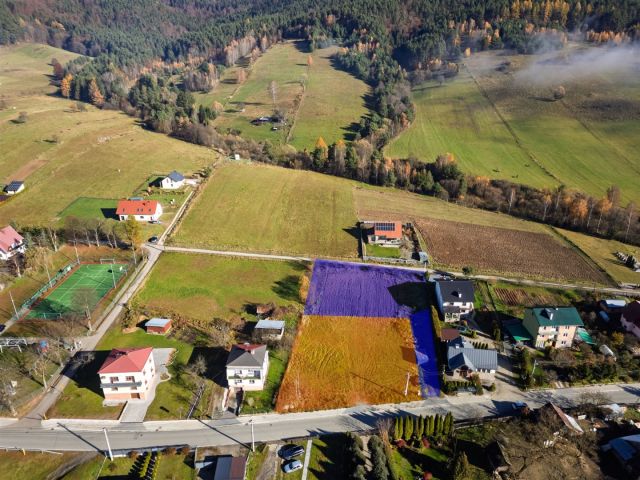 Działka Muszyna. Zdjęcie 5