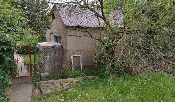 Działka rod Nysa, ul. Bolesława Śmiałego