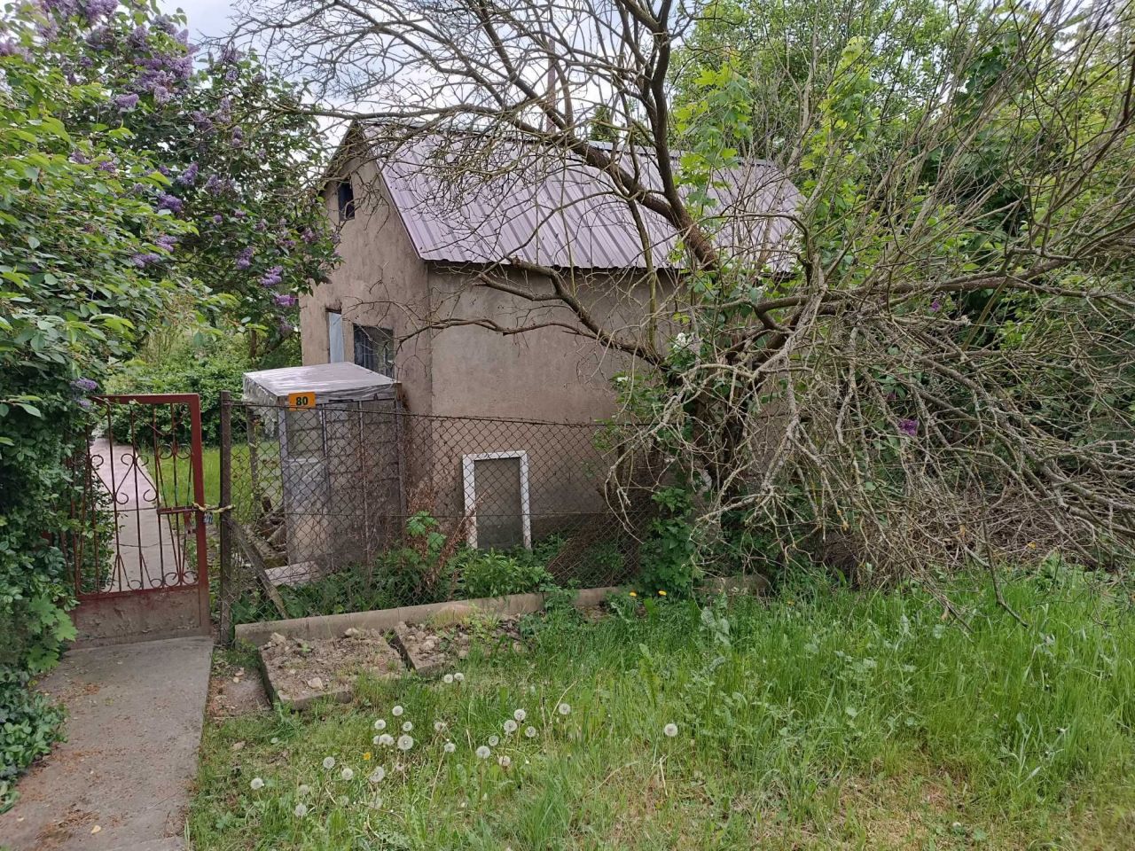 Działka rod Nysa, ul. Bolesława Śmiałego. Zdjęcie 1