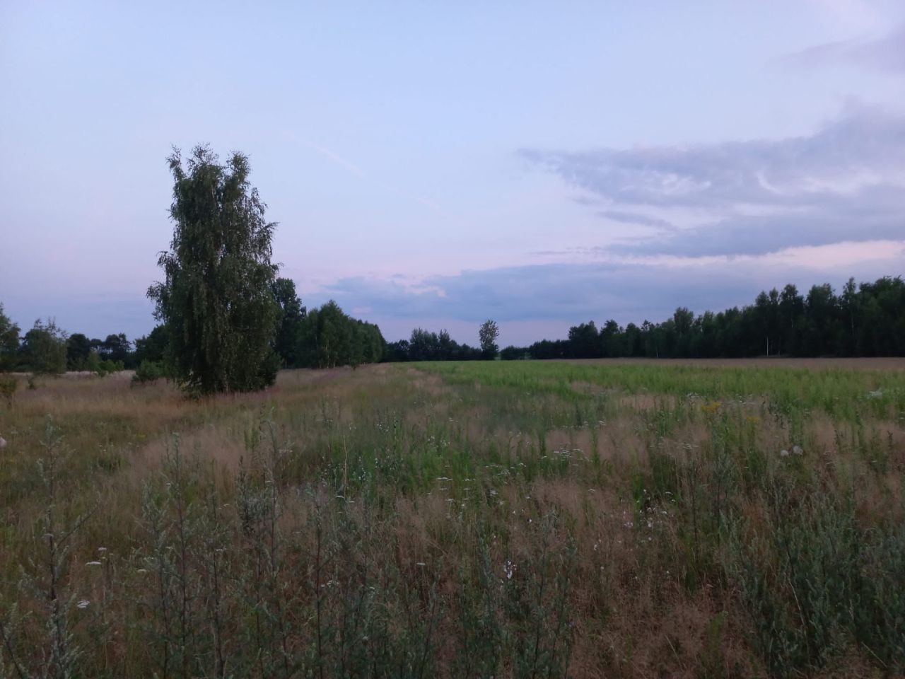 Działka budowlana Pomiary. Zdjęcie 2