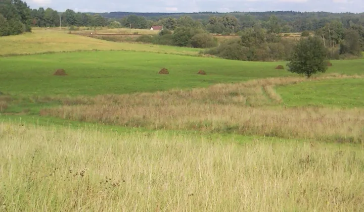 Działka rekreacyjna Stary Gieląd