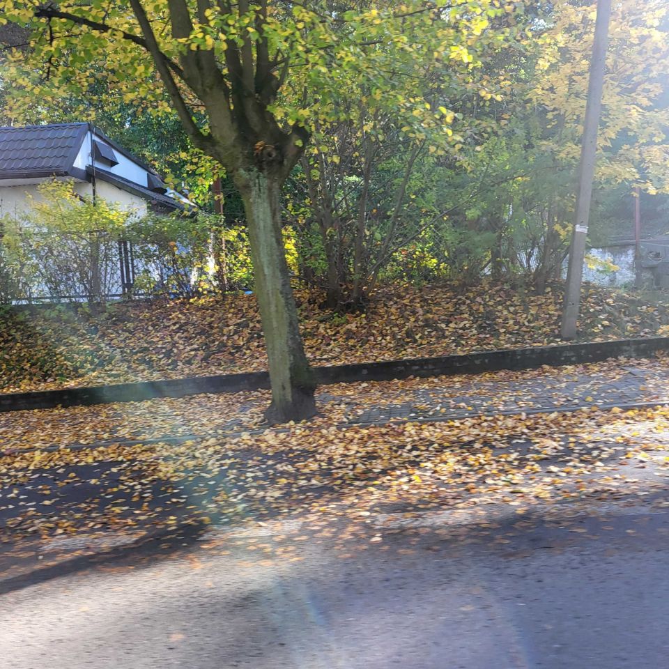 Nieruchomość komercyjna Chełmno, ul. Kamionka. Zdjęcie 4