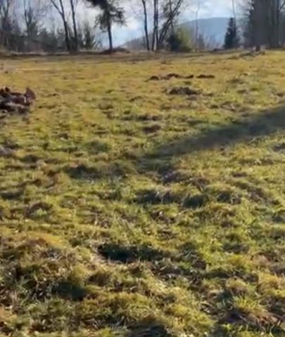 Działka Cięcina. Zdjęcie 1