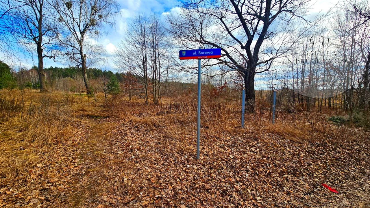 Działka inwestycyjna Wójtowo, ul. Borowa. Zdjęcie 2