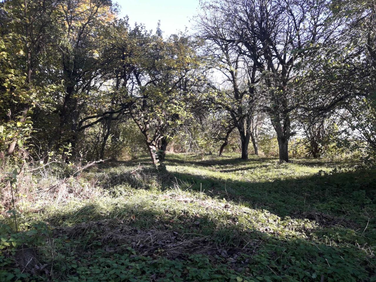 Działka siedliskowa Przybudki. Zdjęcie 5