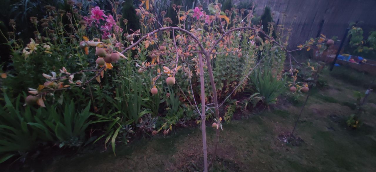 bliźniak, 6 pokoi Konstantynów Łódzki Centrum, ul. Srebrna Ostoja. Zdjęcie 13