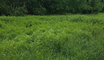 Działka budowlana Radlin Biertułtowy, ul. Józefa Rymera