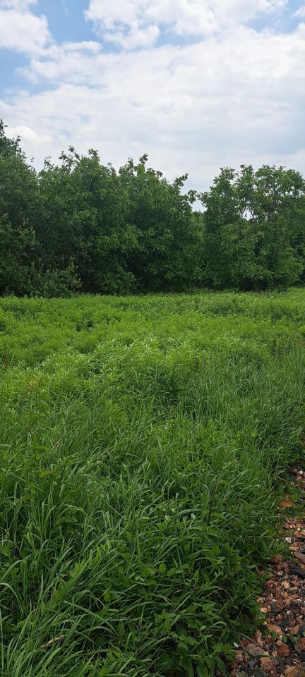 Działka budowlana Radlin Biertułtowy, ul. Józefa Rymera