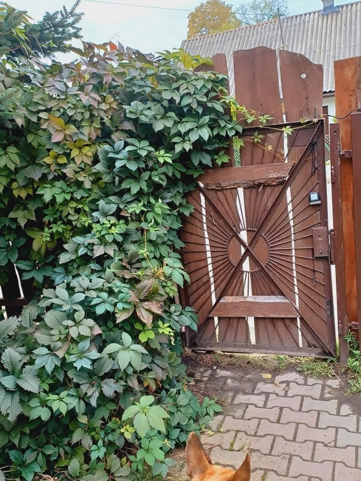 dom wolnostojący, 3 pokoje Ryczów, ul. Jana Pawła II. Zdjęcie 7