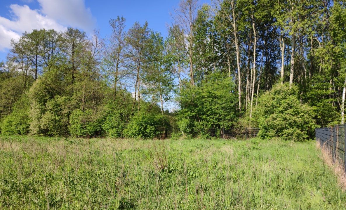 Działka budowlana Puszcza Mariańska, Biernik. Zdjęcie 2