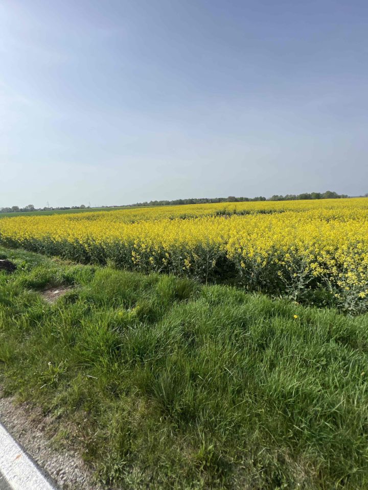 Działka budowlana Jędrzychowice. Zdjęcie 2