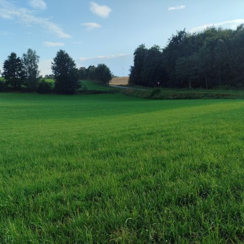 Działka rolno-budowlana Pieski. Zdjęcie 1