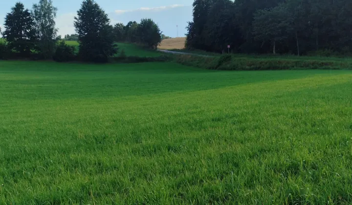 Działka rolno-budowlana Pieski