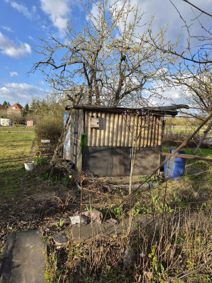 Działka rekreacyjna Wrocław Klecina, CZEKOLADOWA. Zdjęcie 7