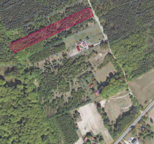 Działka inwestycyjna Lipsko-Polesie. Zdjęcie 1