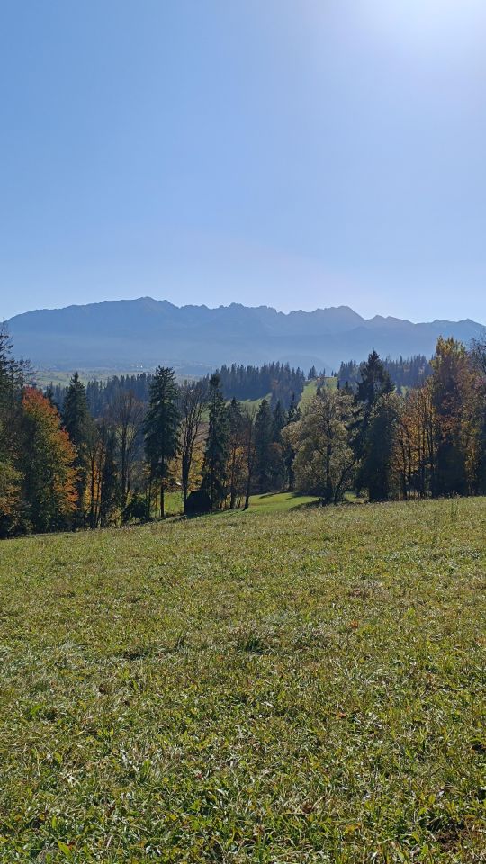 Działka rolna Suche. Zdjęcie 4