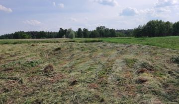 Działka siedliskowa Kostrzewy