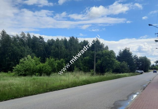 Działka Kajetany. Zdjęcie 1