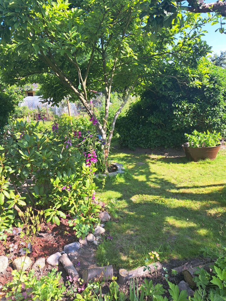 Działka rod Lubin, ul. Ścinawska. Zdjęcie 3