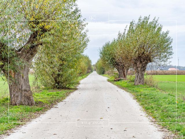 Działka budowlana Niepruszewo, ul. Nad Wierzbami. Zdjęcie 1