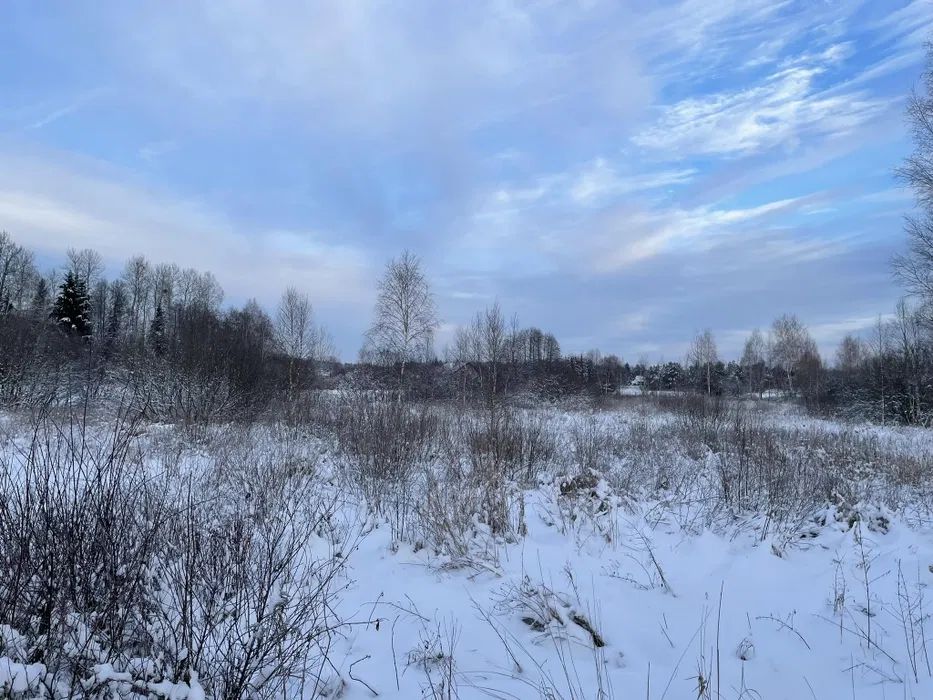 Działka rolna Ciasne. Zdjęcie 5