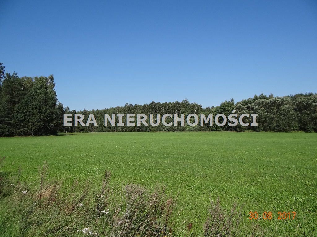 Działka inwestycyjna Popiołówka. Zdjęcie 5