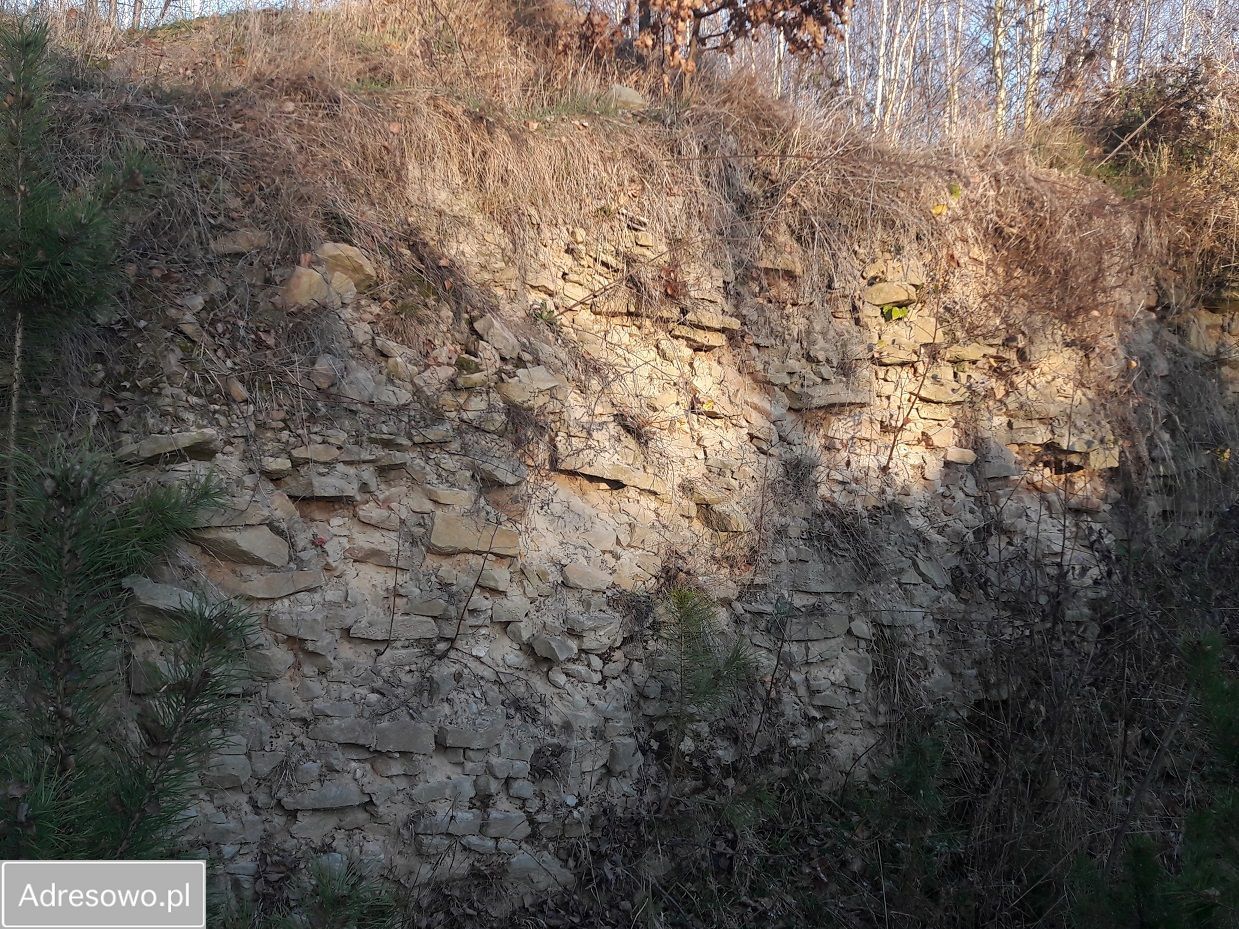 Działka inwestycyjna Szydłowiec, ul. Polna. Zdjęcie 7