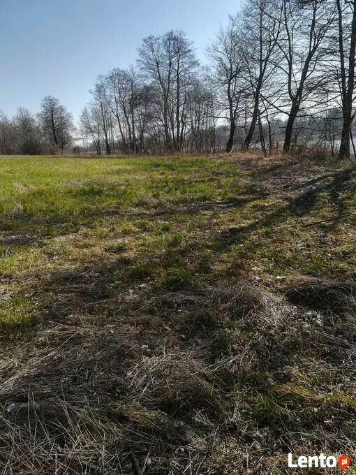 Działka rolna Kaszewo. Zdjęcie 8