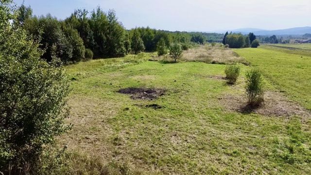 Działka budowlana Cieklin. Zdjęcie 5