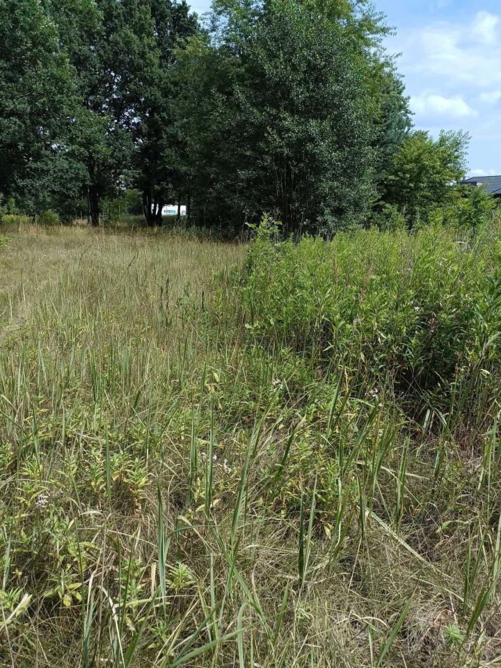 Działka budowlana Marki Struga. Zdjęcie 2