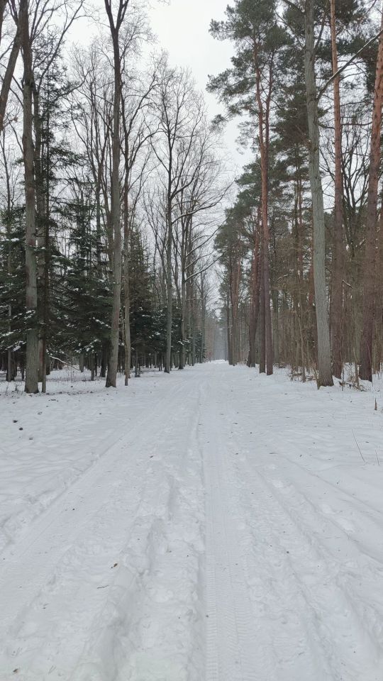 Działka budowlana Wola Smolana. Zdjęcie 8