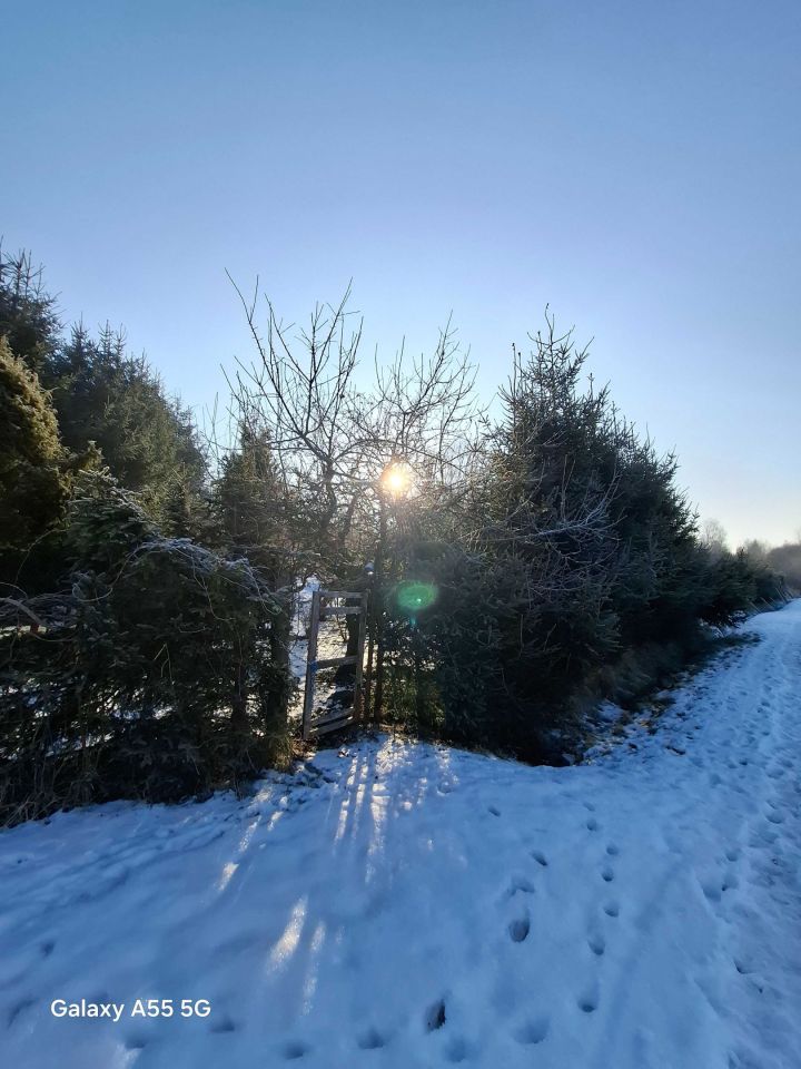 Działka rod Miastko. Zdjęcie 6