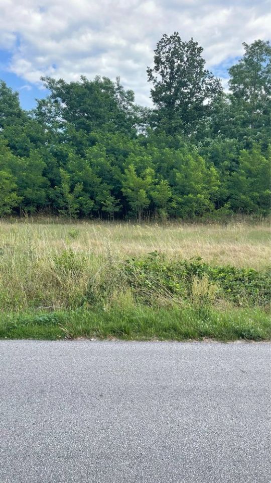 Działka budowlana Ruda Jeżewska. Zdjęcie 5