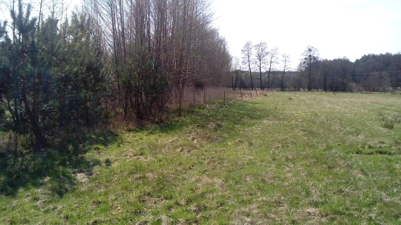 Działka rolna Wartosław. Zdjęcie 3