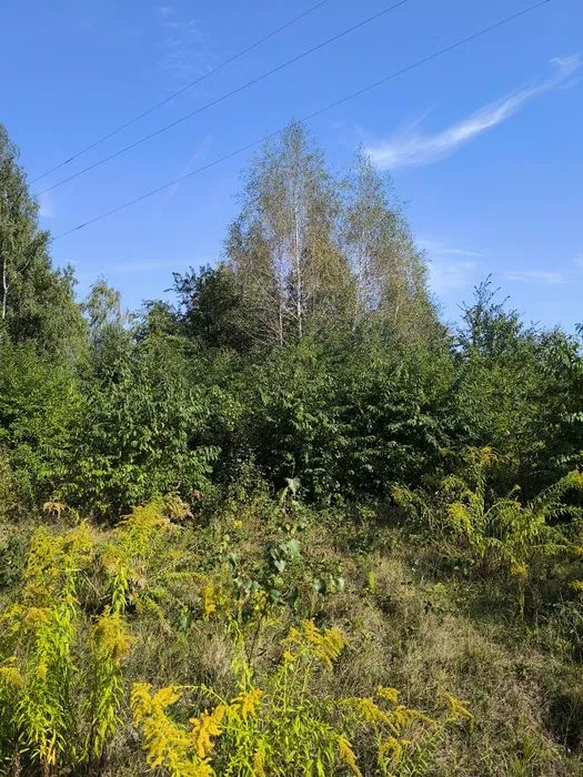 Działka budowlana Krzyżówka, ul. Wiejska. Zdjęcie 2