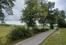 Działka rolna Matule. Zdjęcie 1