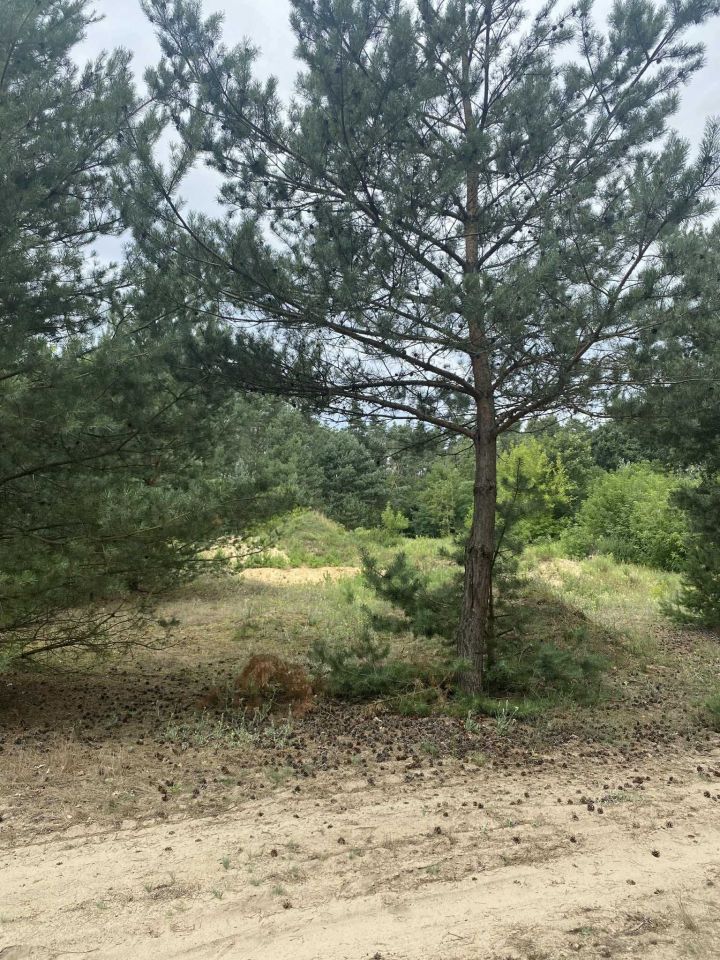 Działka rolno-budowlana Leonów. Zdjęcie 7