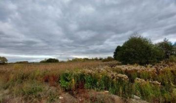 Działka rolno-budowlana Falenty Nowe, ul. Szafranowa