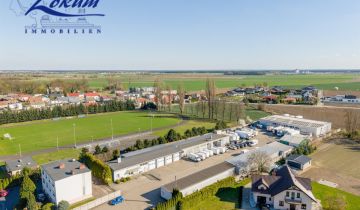 Lokal Święciechowa