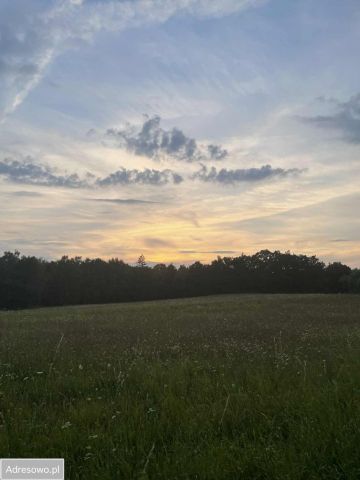 Działka rolno-budowlana Grabowo. Zdjęcie 1
