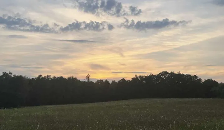 Działka rolno-budowlana Grabowo