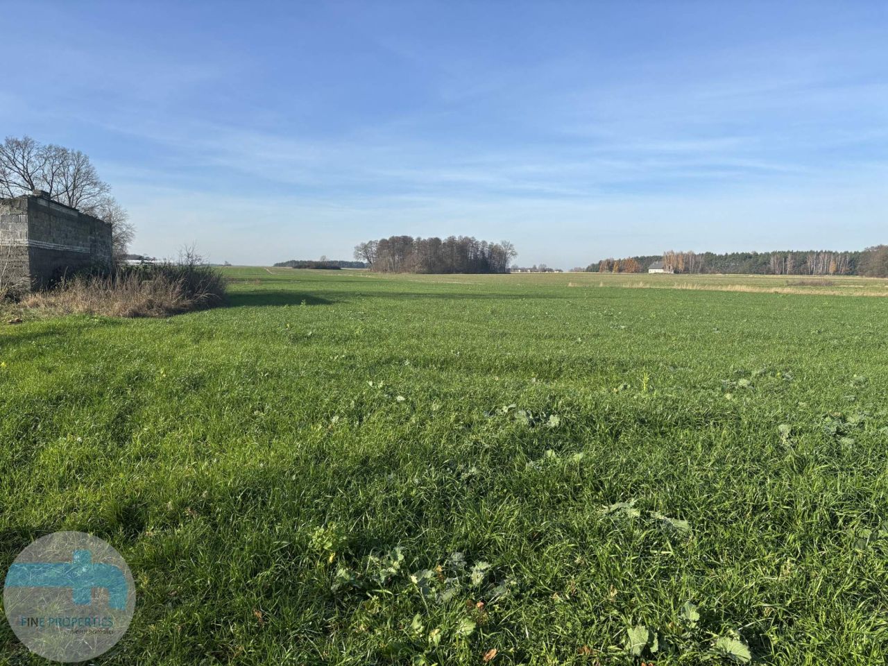 Działka siedliskowa Jaskółowo. Zdjęcie 1