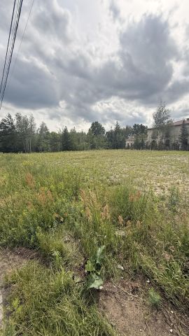 Działka inwestycyjna Budziska, Sarnia. Zdjęcie 1