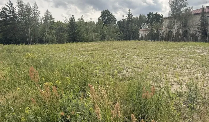 Działka inwestycyjna Budziska, Sarnia